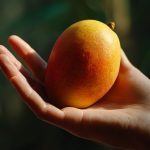 Mangue mûre : comment la choisir
